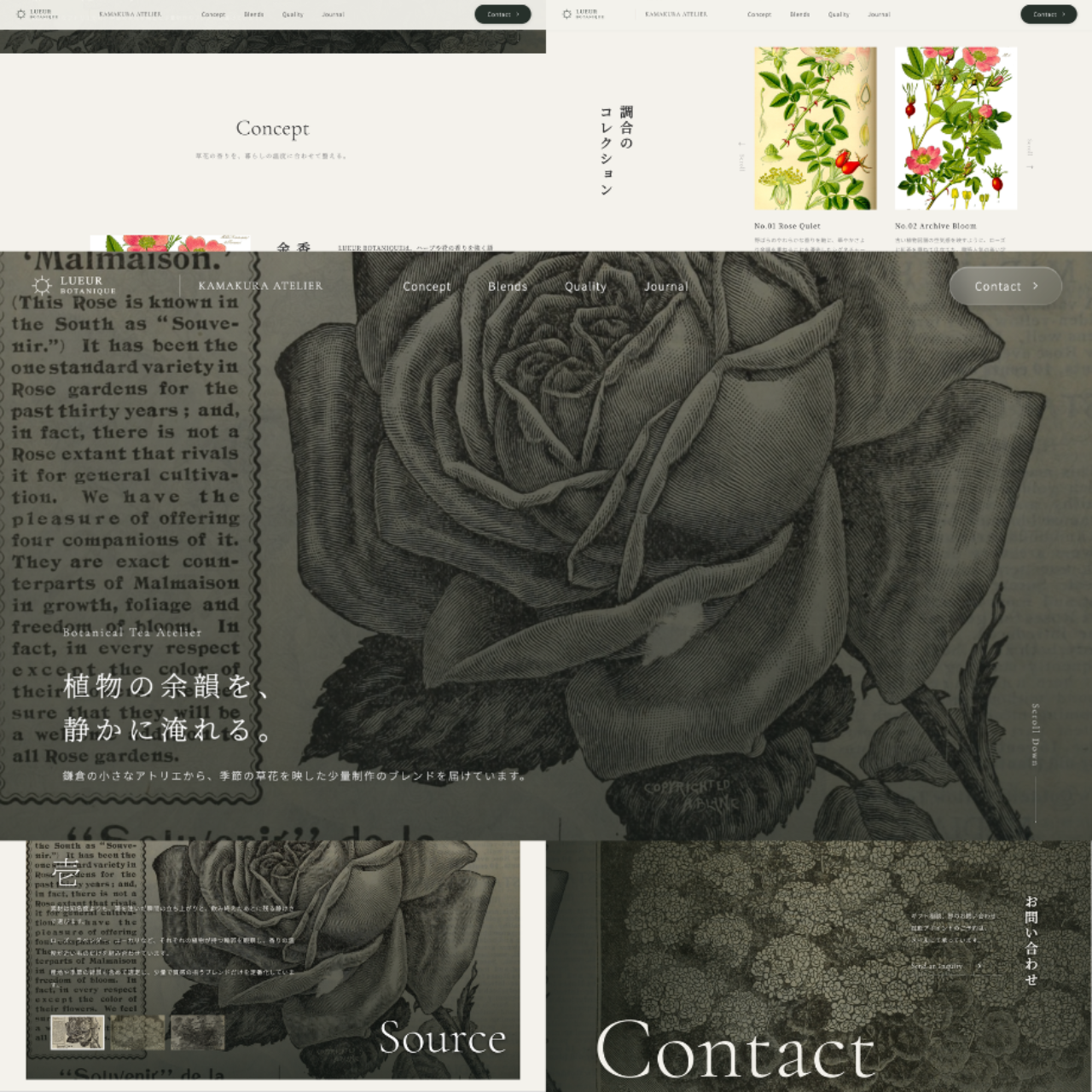 SORAテンプレートのサムネイルイメージ 01